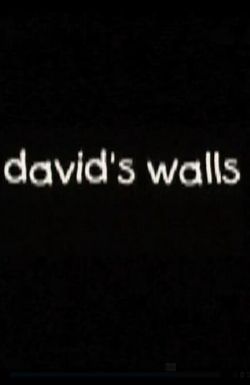 David's Walls