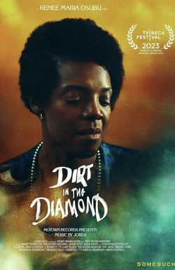 Dirt in the Diamond