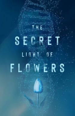 The Secret Light of Flowers