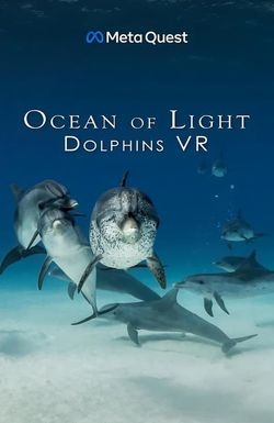 Ocean of Light - Dolphins VR