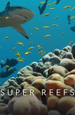 Super Reefs