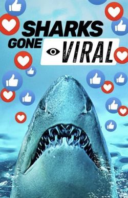 Sharks Gone Viral