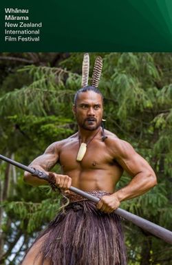 Taki Rua Theatre - Breaking Barriers