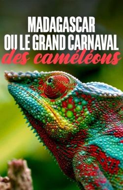 Madagascar ou le grand carnaval des caméléons