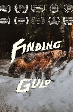 Finding Gulo