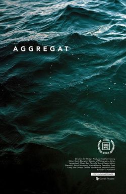 Aggregat