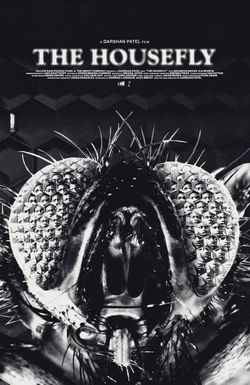 The Housefly