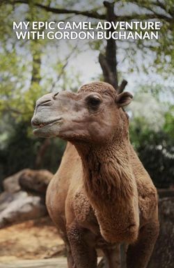 My Epic Camel Adventure with Gordon Buchanan