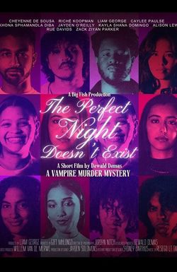 The Perfect Night Doesn't Exist