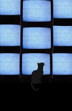 The Coolest Guy in School