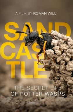 Sandcastle - The Secret Life of Potter Wasps