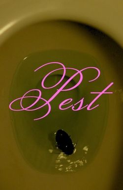 Pest