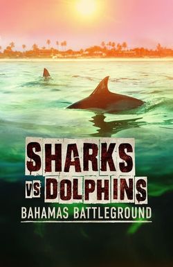 Sharks vs Dolphins: Bahamas Battleground