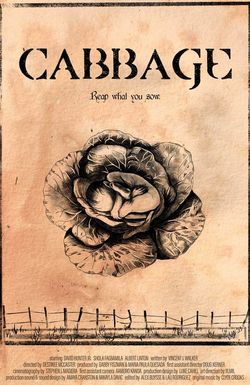 Cabbage