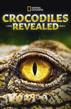 Crocodiles Revealed
