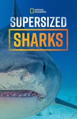 National Geographic Sharkfest