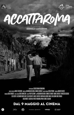 Accattaroma