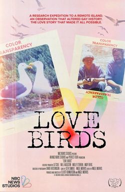 Love Birds