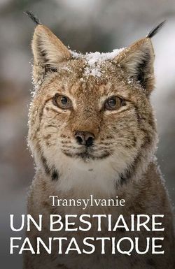 Transylvania's Wild Side