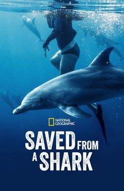 Saved from a Shark