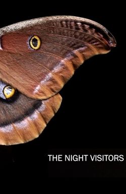 The Night Visitors