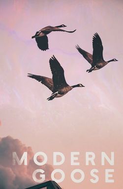 Modern Goose