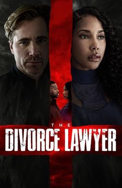 The Divorce Lawyer