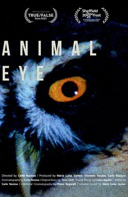 Animal Eye