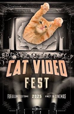 CatVideoFest 2025