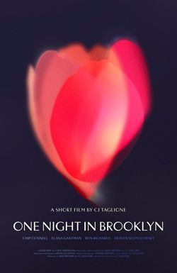 One Night in Brooklyn