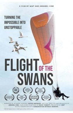 Flight of the Swans