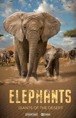 Elephants: Giants of the Desert