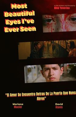 Most Beautiful Eyes I've Ever Seen