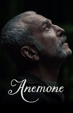 Anemone