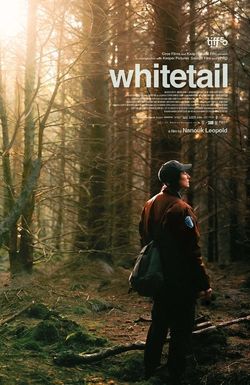 Whitetail