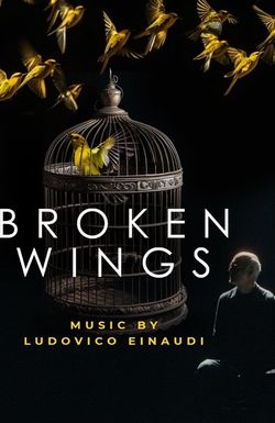 Broken Wings