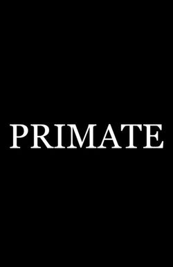 Primate