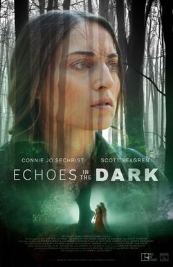 Echoes in the Dark