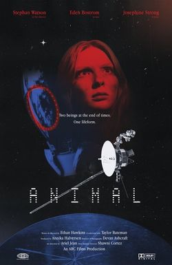 Animal