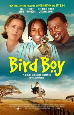 Bird Boy