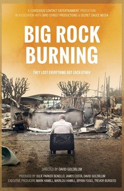 Big Rock Burning