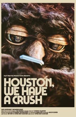 Houston, We Have a Crush