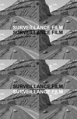 Surveillance Film