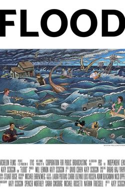 Flood
