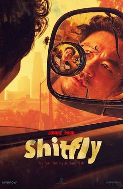 Shitfly