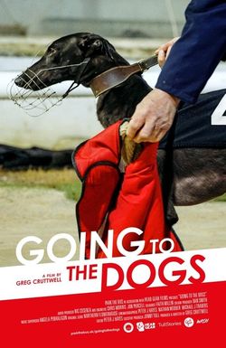 Going to the Dogs