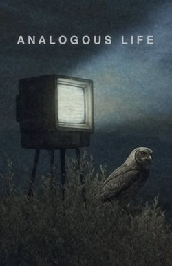 Analogous Life