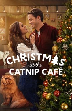 Christmas at the Catnip Café