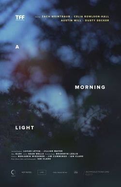 A Morning Light