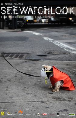 Seewatchlook: O que Você Vê Quando Olha o que Enxerga?